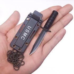 Stainless Steel Mini Straight Knife (Color: Black)